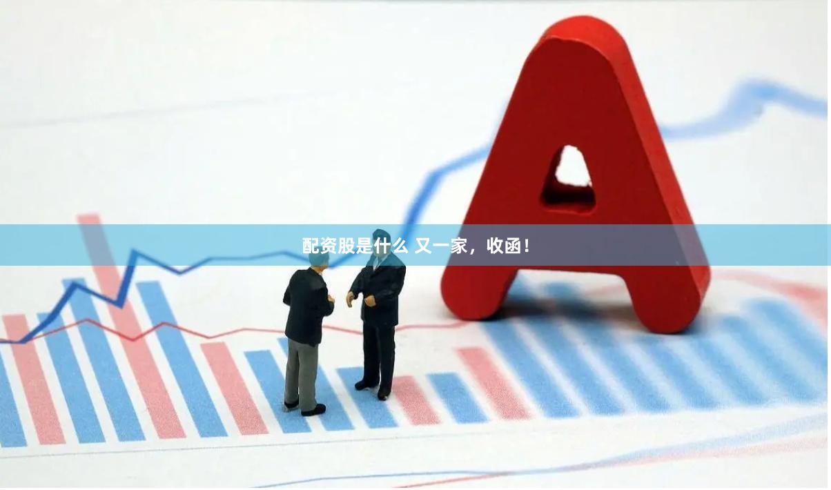 配资股是什么 又一家，收函！