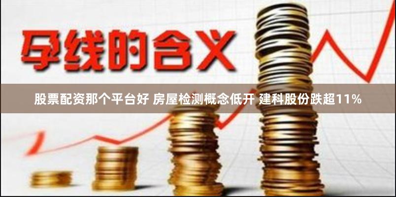 股票配资那个平台好 房屋检测概念低开 建科股份跌超11%