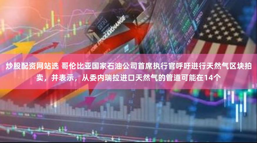 炒股配资网站选 哥伦比亚国家石油公司首席执行官呼吁进行天然气区块拍卖，并表示，从委内瑞拉进口天然气的管道可能在14个