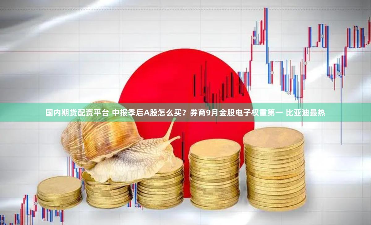 国内期货配资平台 中报季后A股怎么买？券商9月金股电子权重第一 比亚迪最热