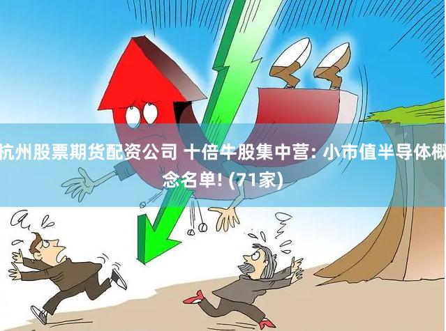 杭州股票期货配资公司 十倍牛股集中营: 小市值半导体概念名单! (71家)