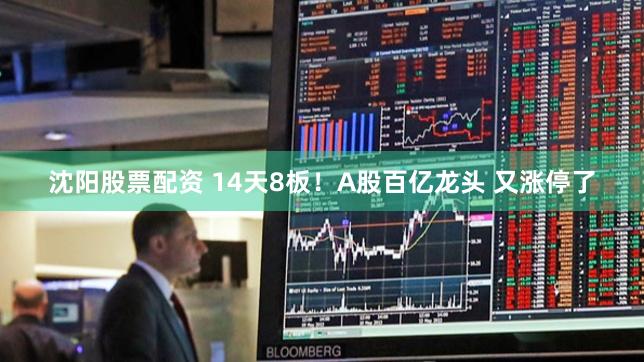 沈阳股票配资 14天8板！A股百亿龙头 又涨停了