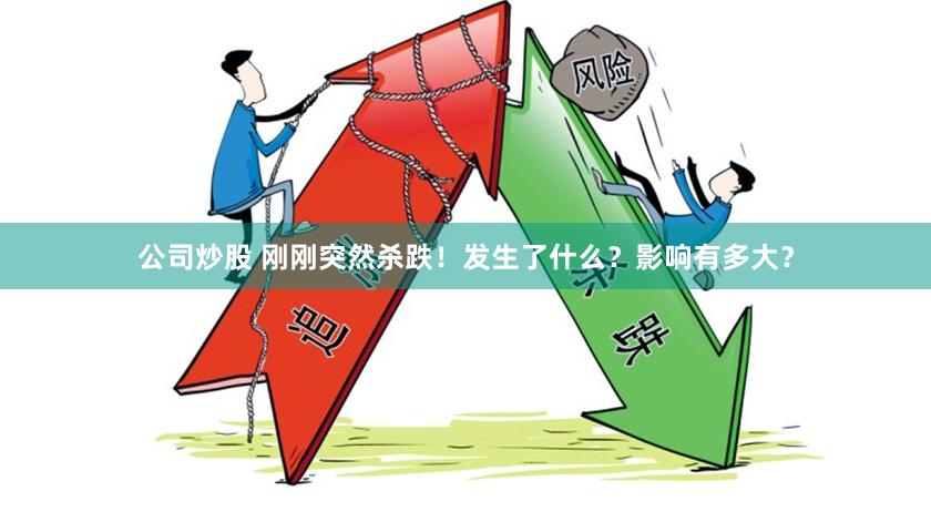 公司炒股 刚刚突然杀跌！发生了什么？影响有多大？