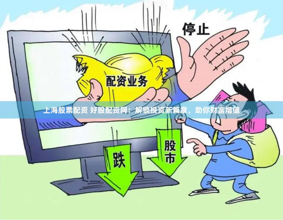 上海股票配资 好股配资网：解锁投资新篇章，助你财富增值